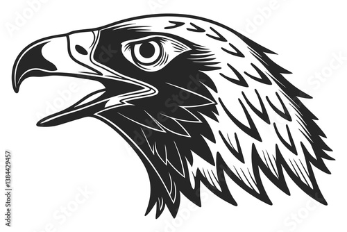 Wild eagle head vector illustration, a black and white animal mascot design
