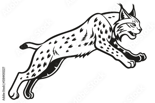 Eurasian lynx jump