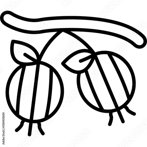 Gooseberry Icon