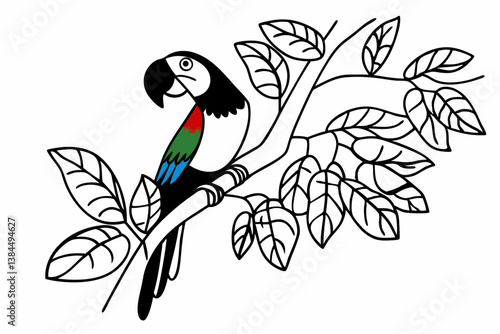 vector illustration of a parrot