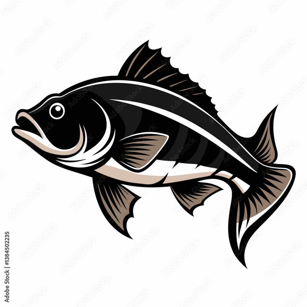 fish on a white background fish on a white background
