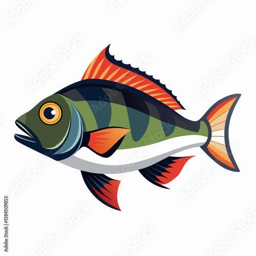 fish on a white background