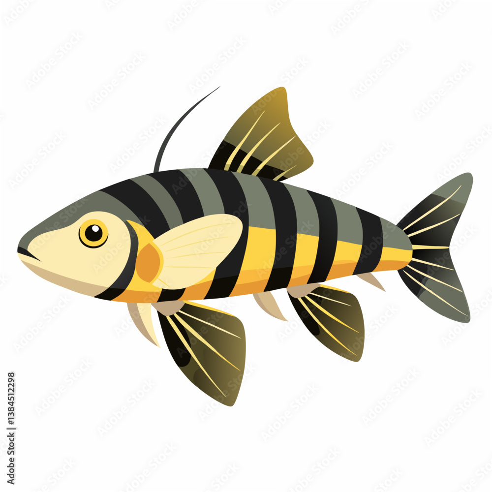 vector illustration of a fish vector illustration of a fish