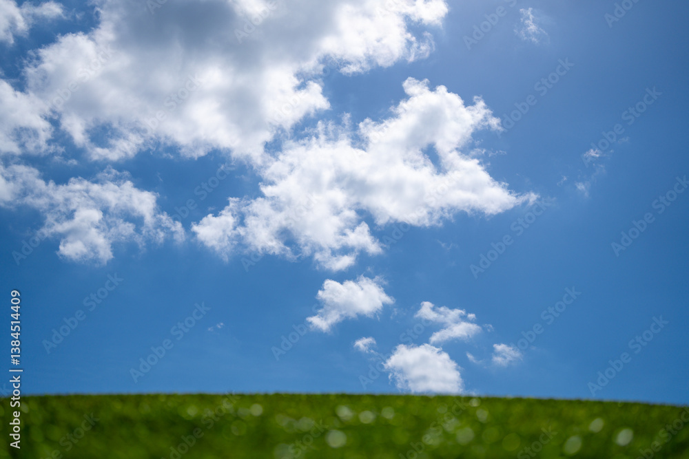 Grass background. Grass field. Summer meadow. Spring hill. Grassy background. Grass texture. Natural green texture. Sunny grass background. Greenery landscape. Pasture background. Grassland view. Grass background. Grass field. Summer meadow. Spring hill. Grassy background. Grass texture. Natural green texture. Sunny grass background. Greenery landscape. Pasture background. Grassland view.