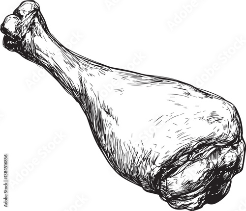 Detailed Hand Drawn Chicken Leg Sketch Illustration on isolated white background