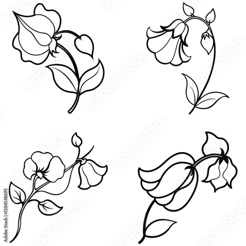 Fotografie A sweet pea flower icon with delicate, ruffled petals on a climbing 
vine
