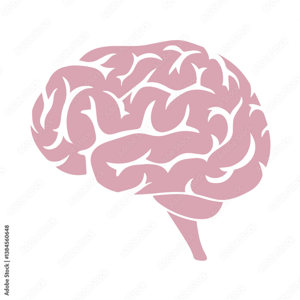 Pink human brain illustration representing nervous tissue, cognition, intelligence, sensory processing, motor coordination, and central organ function in the human nervous system.
Pink human brain illustration representing nervous tissue, cognition, intelligence, sensory processing, motor coordination, and central organ function in the human nervous system.