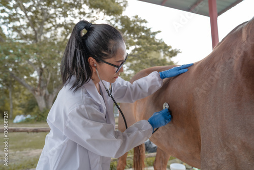 Asian female veterinarian treating a horse