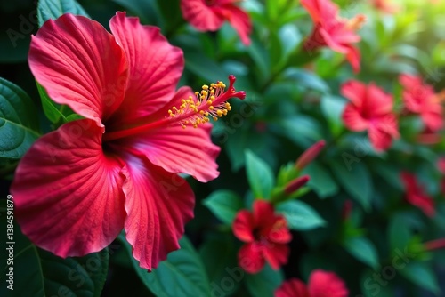 Bold, vibrant hibiscus blooms in a tropical, densely packed arrangement , fabric, summer, colorful