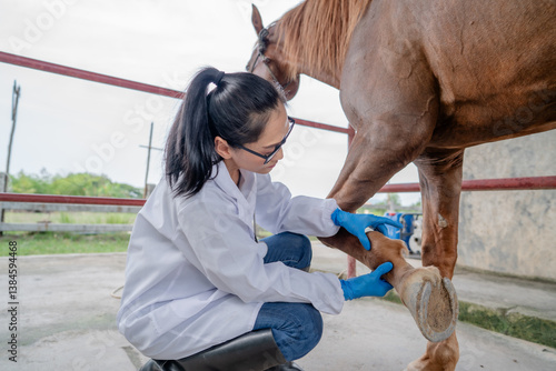 Asian female veterinarian treating a horse