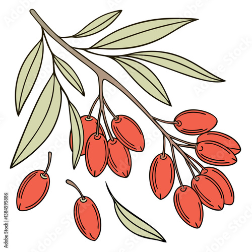 Goji Berries Vector on White Background. Perfect for: Chinese New Year, Wellness Markets, Superfood Trends
