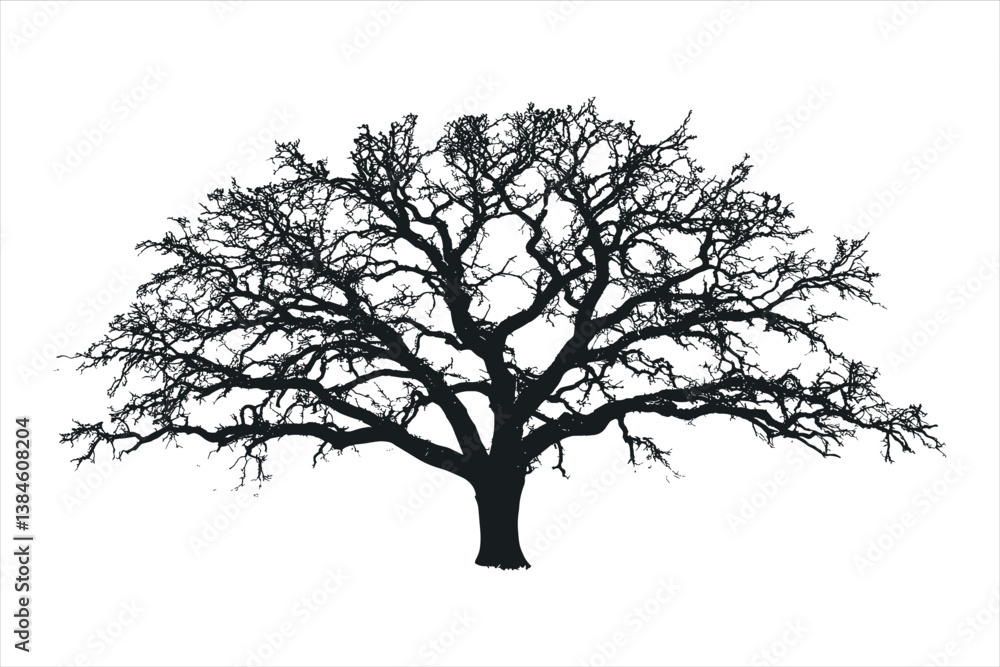 Obraz premium Tree silhouette 