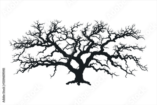 Tree silhouette 