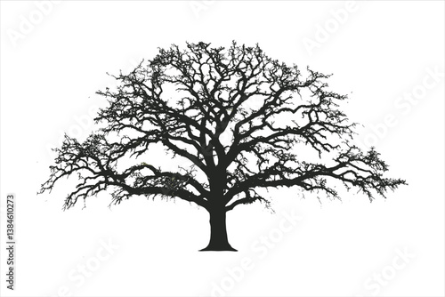 Tree silhouette 