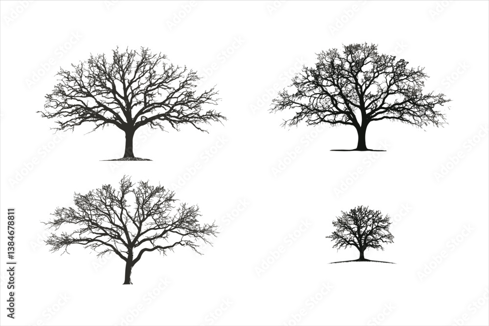 Obraz premium Tree silhouette 