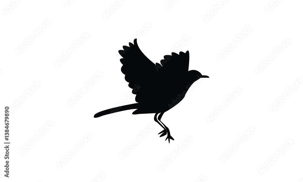 Fototapeta premium African pied wagtail bird Silhouette Design And Vector Illustration. 