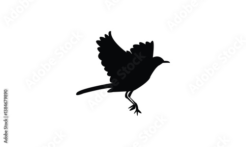 African pied wagtail bird Silhouette Design  And Vector Illustration. 