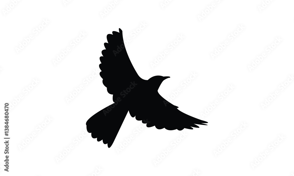 African pied wagtail bird Silhouette Design And Vector Illustration. African pied wagtail bird Silhouette Design And Vector Illustration.