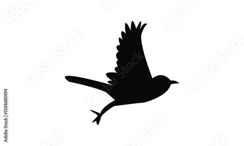 African pied wagtail bird Silhouette Design  And Vector Illustration. 