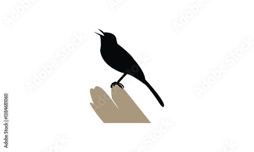 African pied wagtail bird Silhouette Design  And Vector Illustration. 
