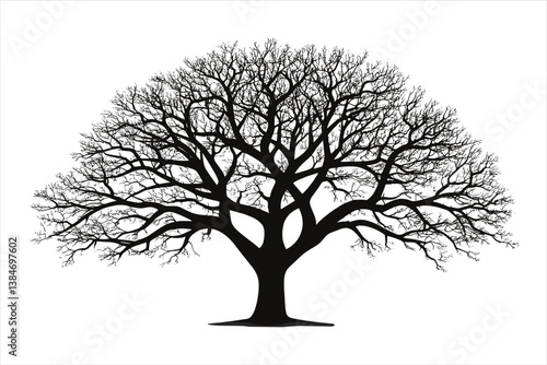 Tree silhouette 