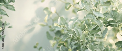 Wallpaper Mural Green foliage texture for a natural background Torontodigital.ca