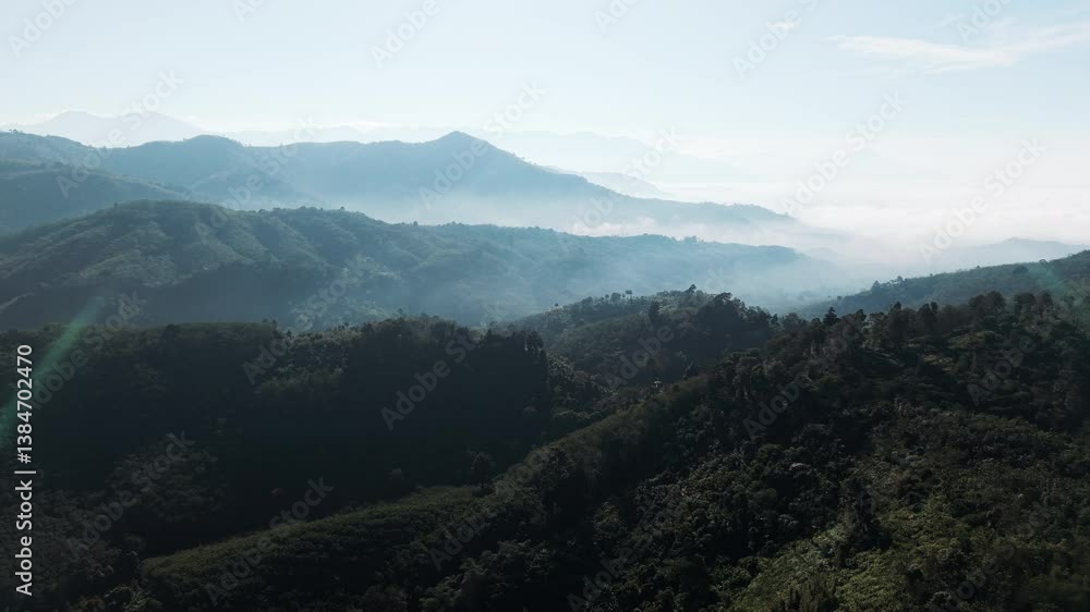 Aerial view mountain forest tropical tree morning sunrise with fog ecology nature landscape background Aerial view mountain forest tropical tree morning sunrise with fog ecology nature landscape background