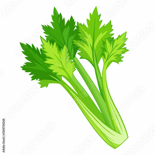 parsley isolated on white