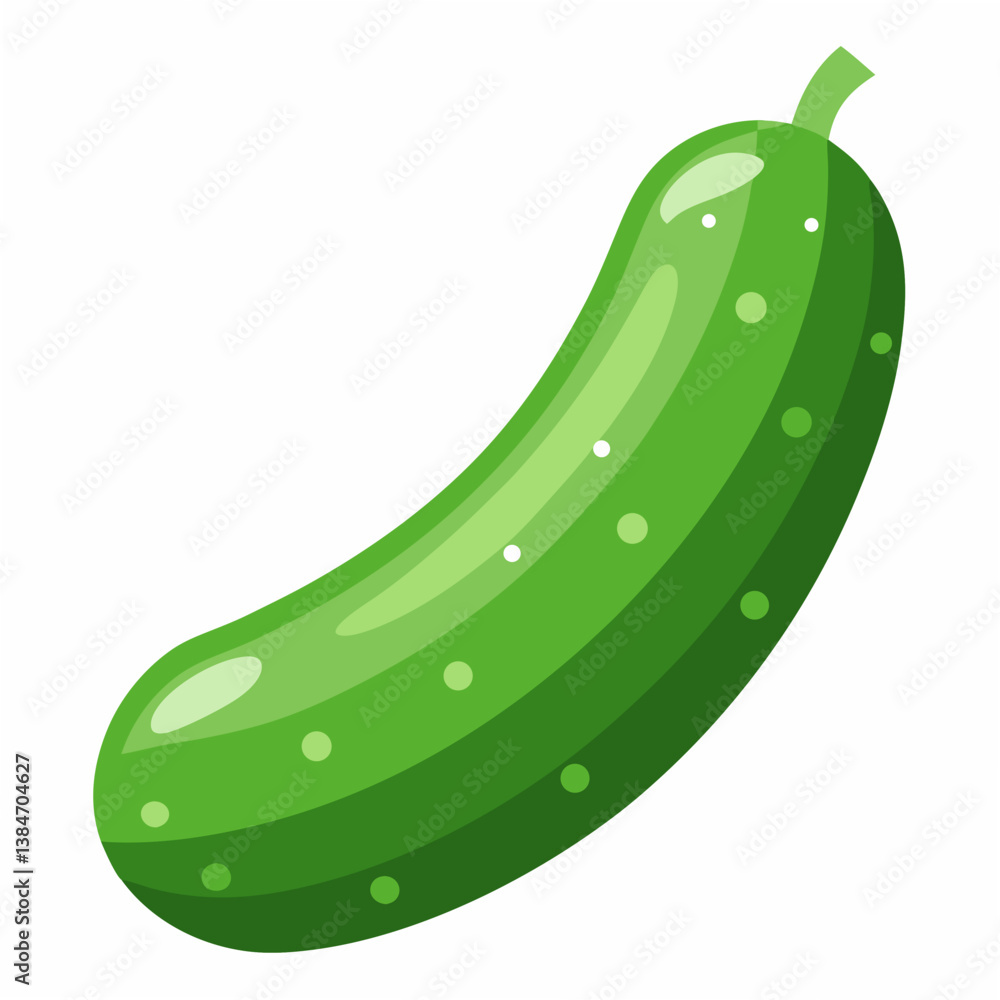 vector illustration of a cucumber vector illustration of a cucumber
