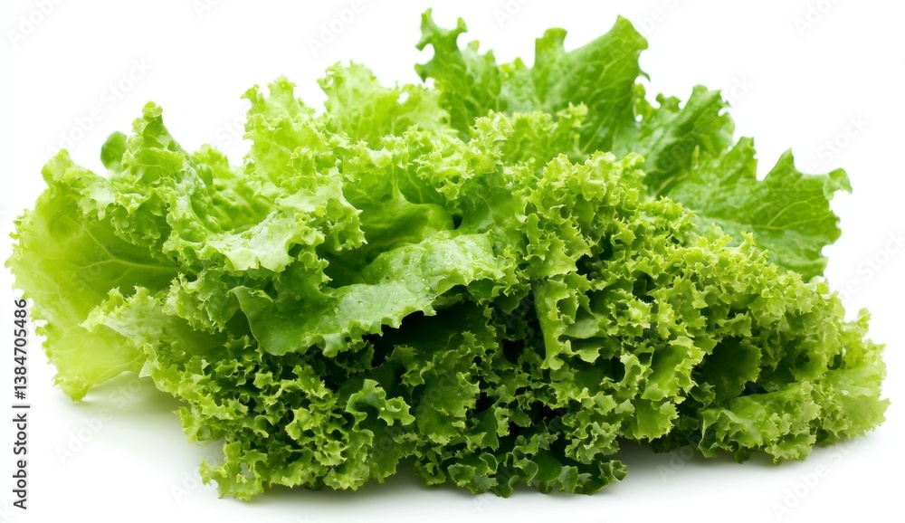 Fresh and Crisp Green Lettuce Variety Isolated on White Background Fresh and Crisp Green Lettuce Variety Isolated on White Background