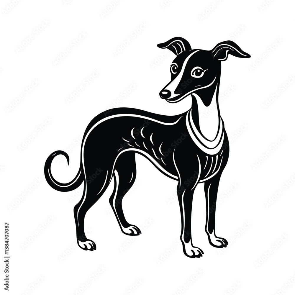 Fototapeta premium Black and white Italian Greyhound dog standing silhouette isolated on white background
