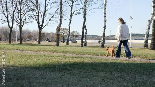 A woman is walking her dog in a picturesque park that is located beside a tranquil water body