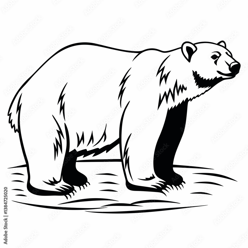 Obraz premium vector illustration of a polar bear isolated on a white background