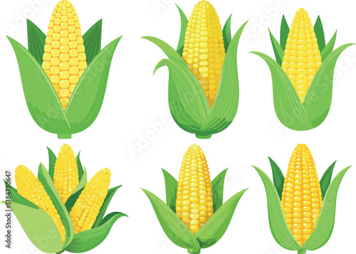 Hand drawn corn on the cob drawing Vector illustration