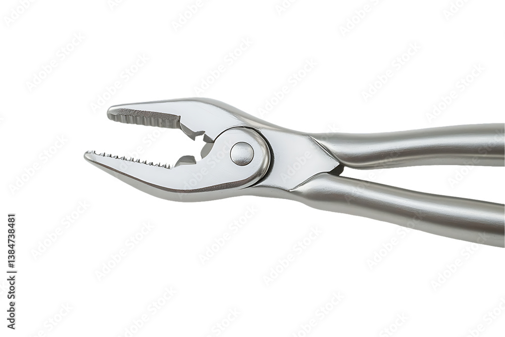 Surgical Bone Extraction Forceps: Close-up, Serated Jaws, Polished Finish Surgical Bone Extraction Forceps: Close-up, Serated Jaws, Polished Finish
