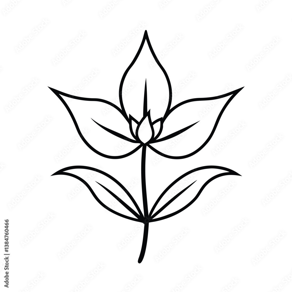 vector black silhouette of a borage plant vector black silhouette of a borage plant