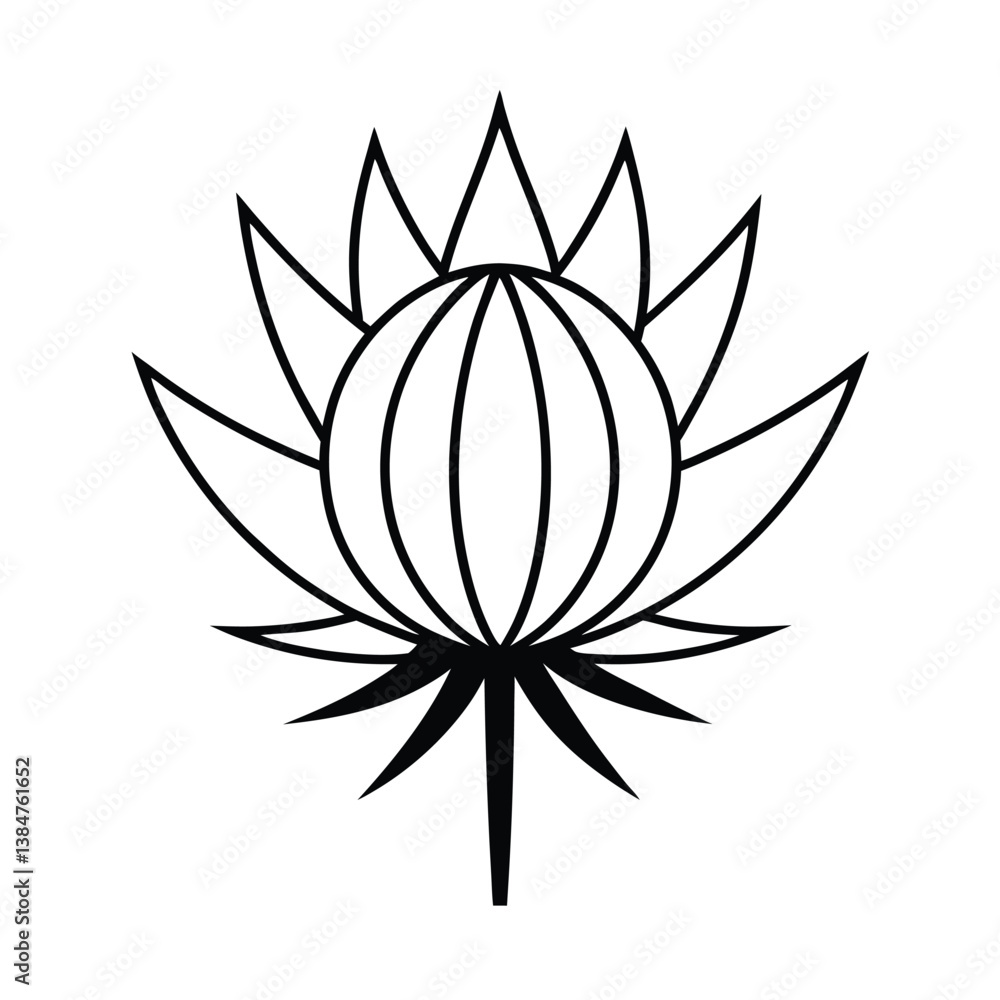 vector illustration of a globe-thistle flower vector illustration of a globe-thistle flower