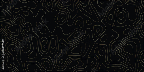 Exploring the Diverse Topographic Variations Across Different Geographical Regions

