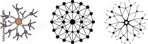 Neural Network Diagrams Neuron Structures, Connections, and Topology