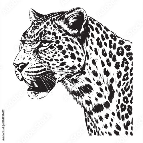 Leopard Vector 