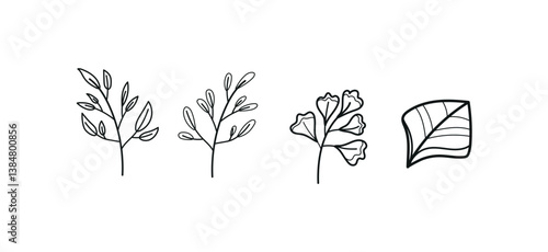 Set hand drawn colorless floral decorative elements
