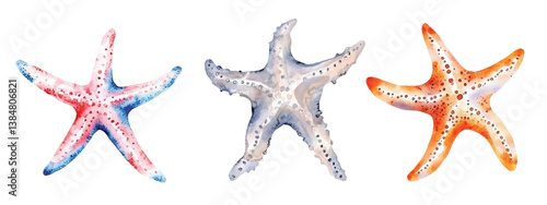 starfish watercolor vector illustration, underwater ocean animal art isolated on white background