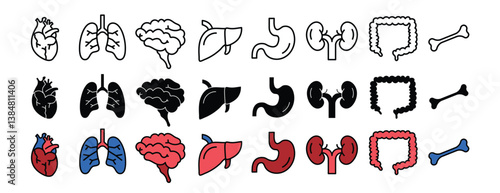 The illustrations of human organ collections, showcasing anatomy, health, and medical education in vector style, line icons, silhouette & colored human organ icons, internal organs of human