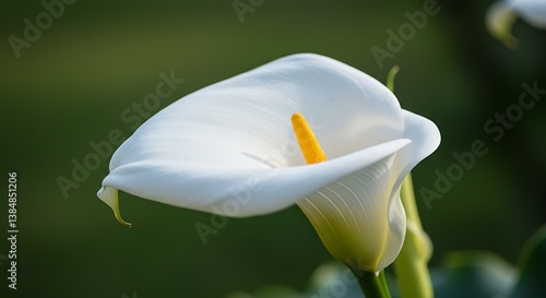 Golden Heart, Verdant Bloom AI Generated