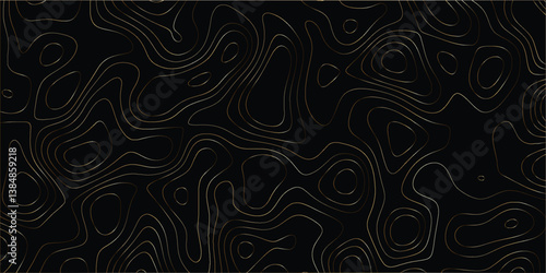 Decorative abstract contour map with elevation lines and organic design

