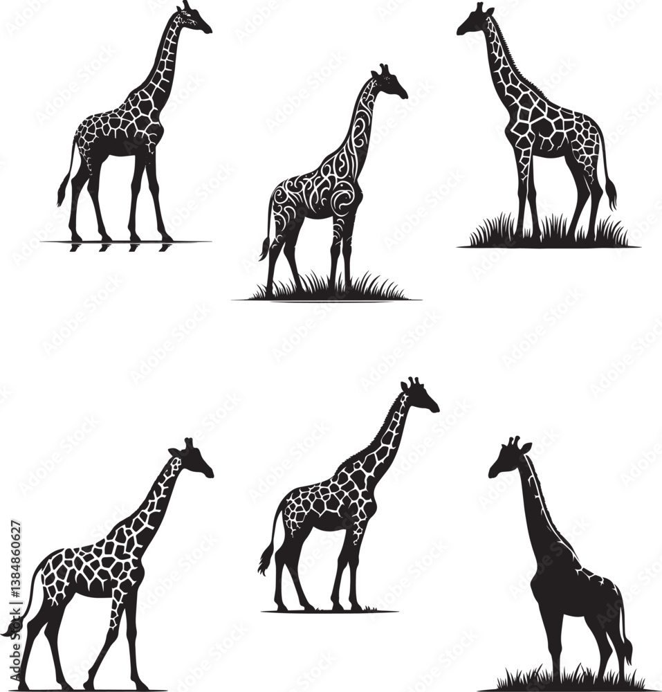 Obraz premium Giraffe vector