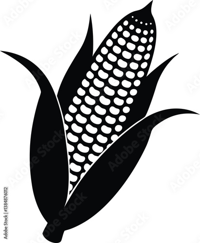 corn cobs vector illustration