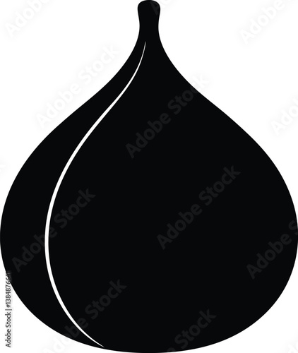 vector illustration of a fig