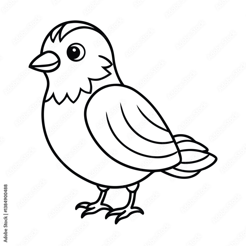 Fototapeta premium vector illustration of a bird line art 