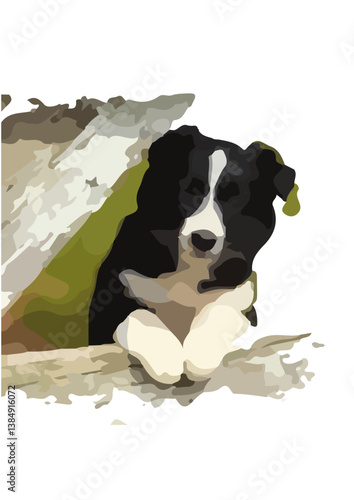 Dogs (Canis lupus familiaris) are domesticated mammals and have been human companions for over 14,000 years. They are descendants of the gray wolf and are closely related to foxes and jackals. 